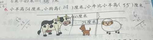 image 1771345831083.jpg