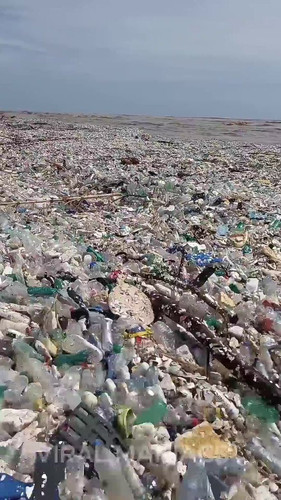 YOp067lOPbgdvs 2.jpg