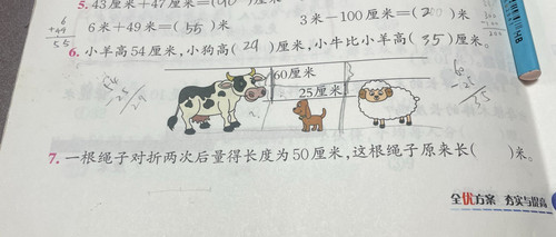 image 1771345690964.jpg