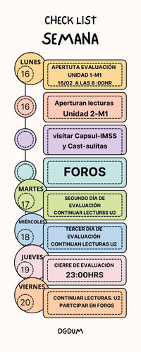 Infografía Línea de Tiempo Pastel Sencillo Multicolor.jpg