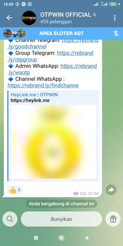 Screenshot 2026 02 16 15 50 42 572 org.telegram.messenger.jpg