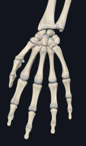 f2727ee6ff3e.png