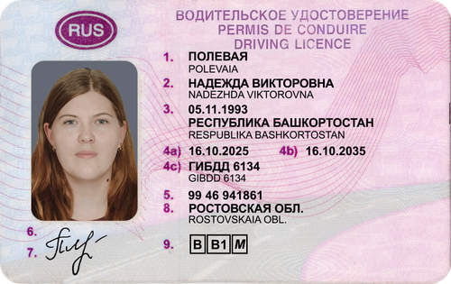 ПОЛЕВАЯ1.png