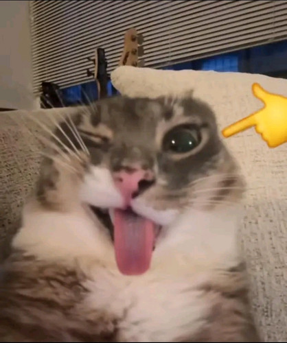 file.jpg