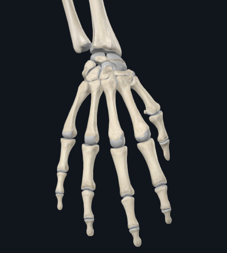 4e9b19b347f3.png
