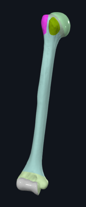 a2bdbc2dd65c.png