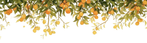 IMG 20260216 234610.png