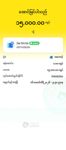 wavepay 908282564 1771255242057.png
