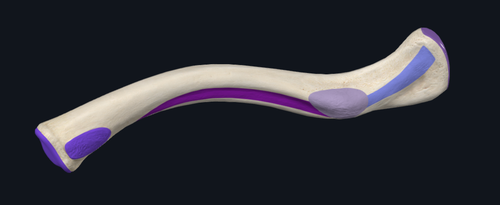 c3fd4141e60e.png