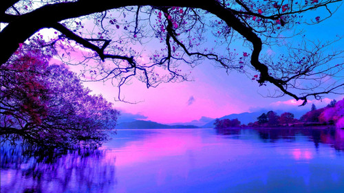beautiful purple sky and trees with reflection on body of water 4k hd nature 1366x768.jpg