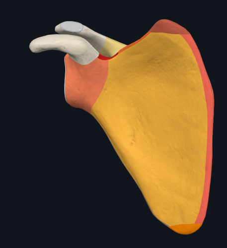 8203680ab58e.png
