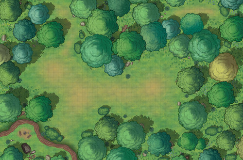 forest map day night 50x33 crosshead assets v0 2q364c0nd9w81.jpg