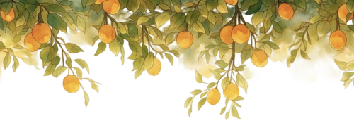 IMG 20260216 231306.png