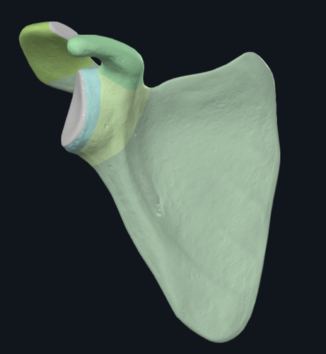 e45687c74f36.png