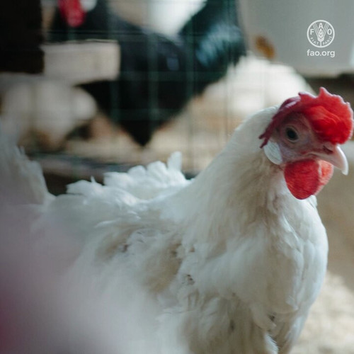 JkwWPWBaf0O9rpo .jpg