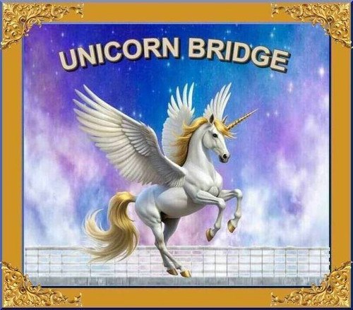 UNICORN BRIDGE