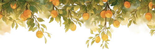 IMG 20260216 204154.png