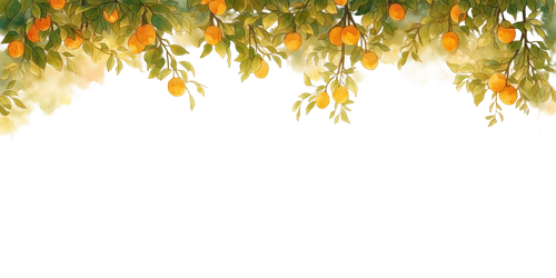 Image 1771245637424 964.png