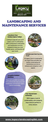 Expert Landscaping and Maintenance Services.jpg