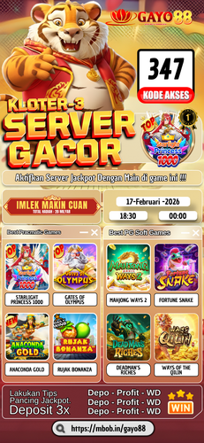 3 17 FEB GAYO88.png