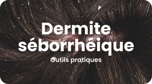 visuel principal.png