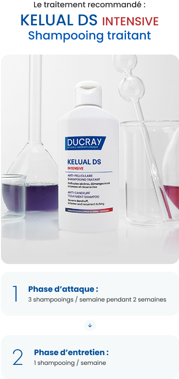 kelual ds mobile.png