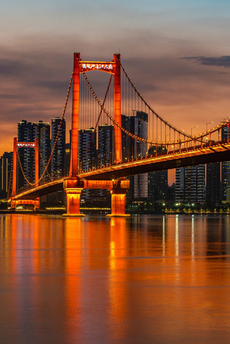 IMG 20260217 213421 f55fac90 98a4 4dc1 aae7 99744e31608b.jpg