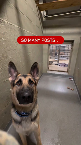 m6Ffk2VLzfxhZTX .jpg