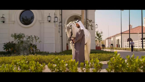 JWN ZP6ujQgnBbwy.jpg