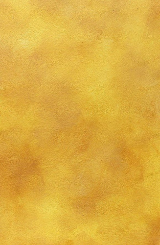 Decorative stucco texture.jpg