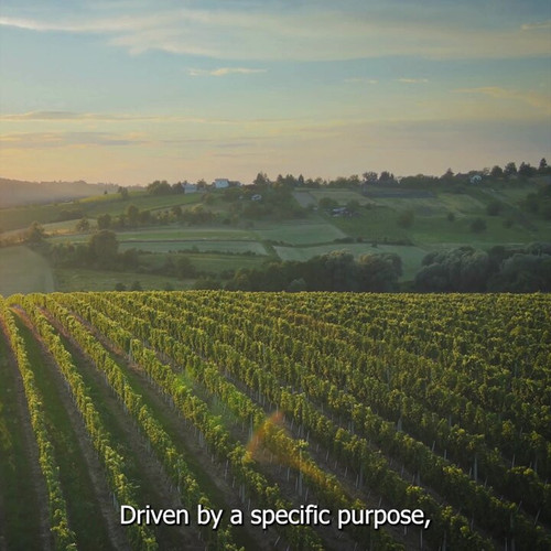 iWiat74XhHXumb X.jpg