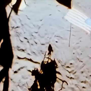 Wo78LrUja 7r1pxA.jpg