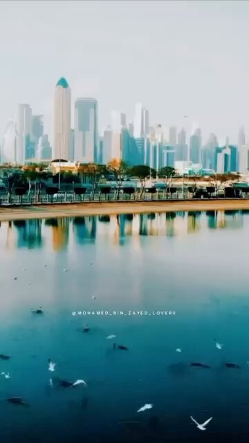 zARf8hYNb8 0emGD.jpg