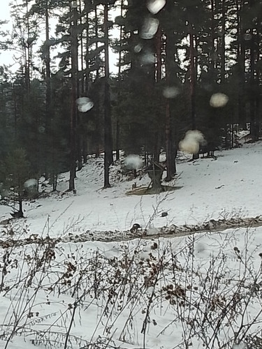 IMG 20260205 140819.jpg