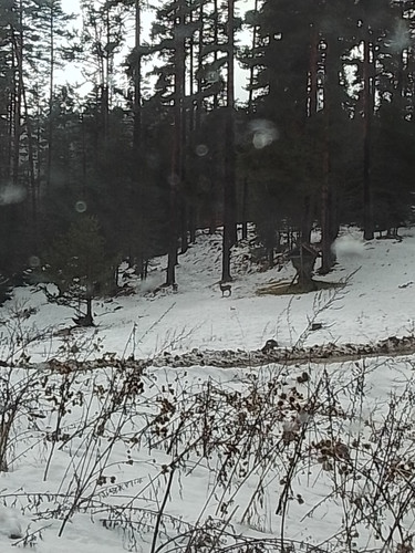 IMG 20260205 140819~2.jpg