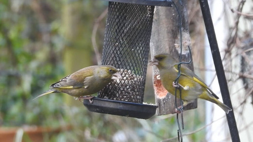 E9 dgYmyIkPoFHLo.jpg