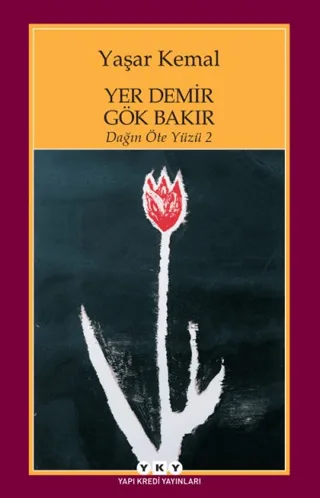 odak 318262.webp