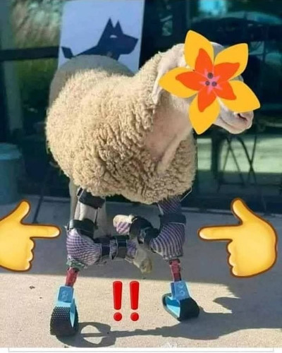HBVcVVaacAAUG0k.jpg