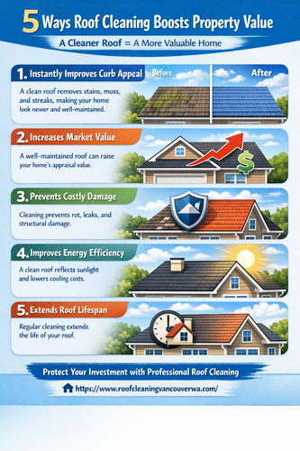5 Ways Roof Cleaning Boosts Property Value.png