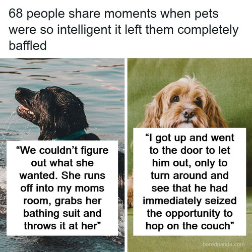 curiosities wholesome world (1).jpg