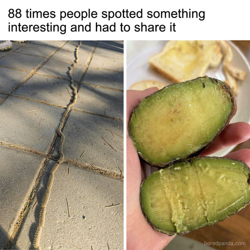 interesting odd things.jpg