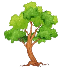 tree.png