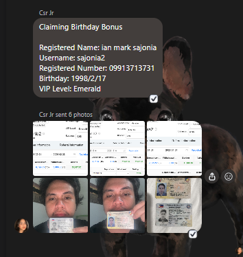 Screenshot 2026 02 18 001918.png