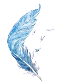 feather.png