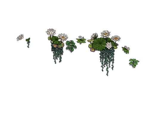 flowering white female.png