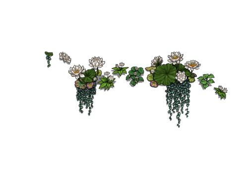 flowering white male.png