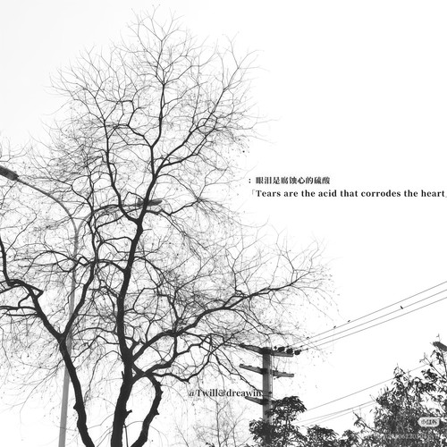 Camera 1040g3k031sddcpq25m605oau3p8gjas8s13sv0g.jpg