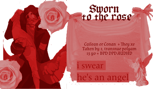 Untitled589 20260204171218.png