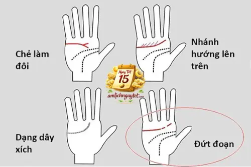 Xem Chỉ Tay Là Gì? Tổng Quan Nhân Tướng Học Trong Mệnh Lý.webp