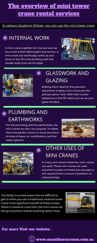 The overview of mini tower crane rental services.jpg